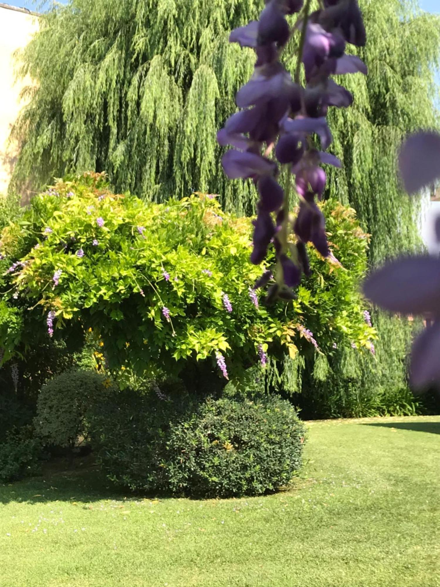 Villa Marlene B&B Альбенга Экстерьер фото