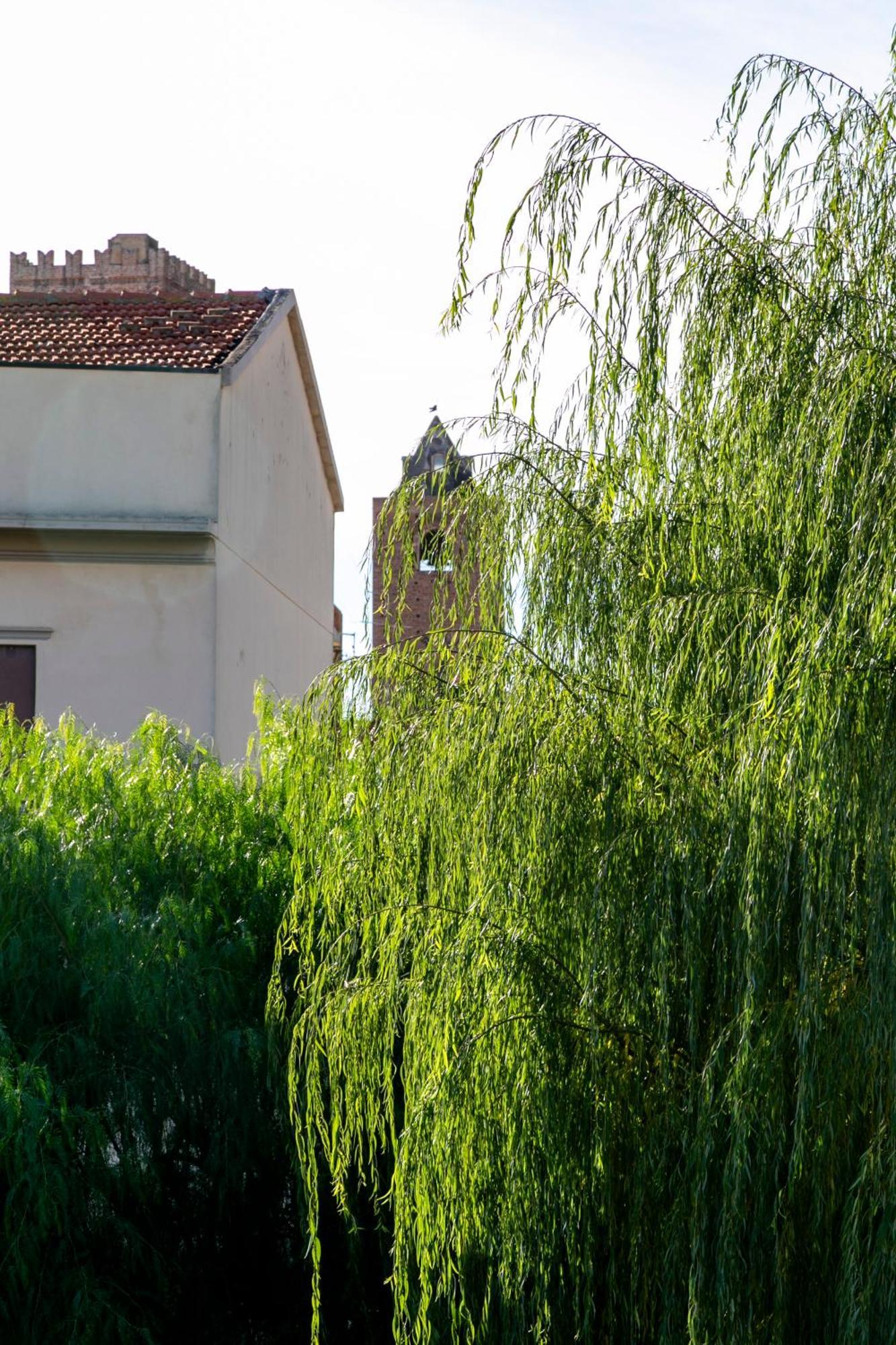 Villa Marlene B&B Альбенга Экстерьер фото